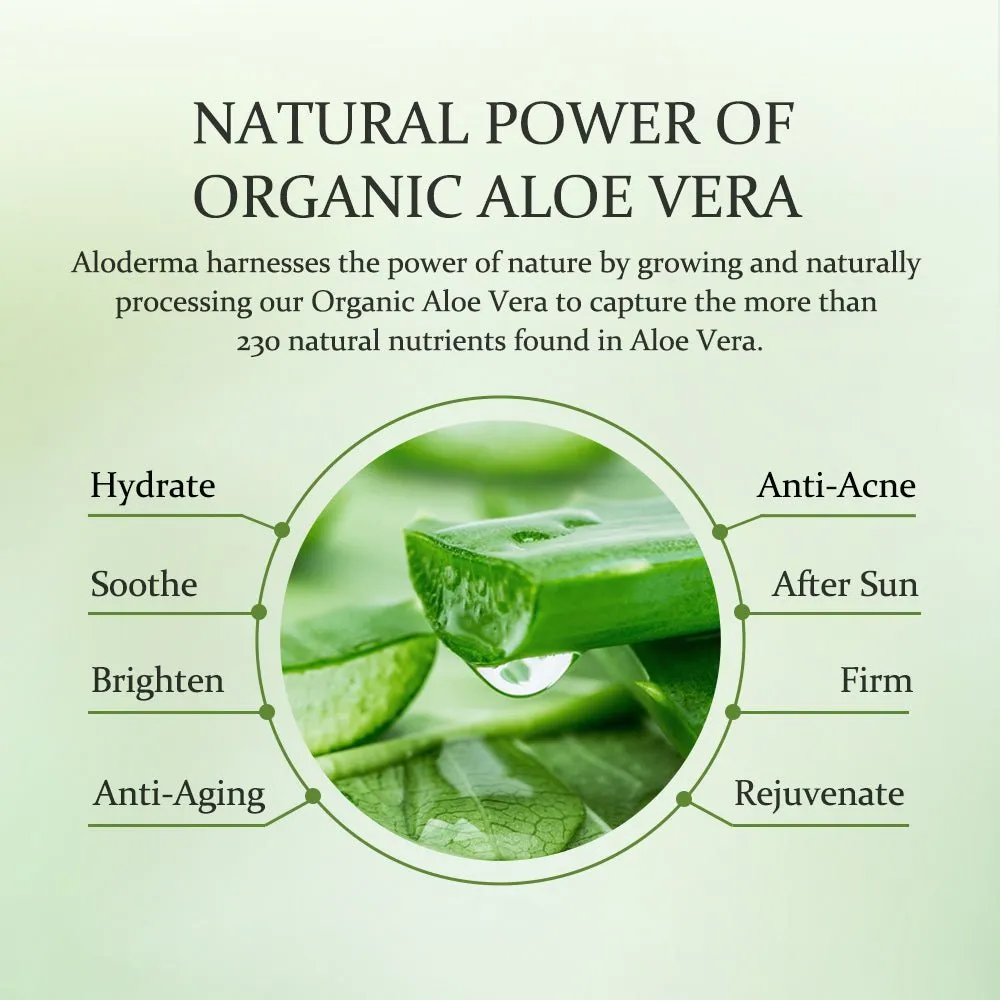 Aloe Hydrating Mask (Box of 5)