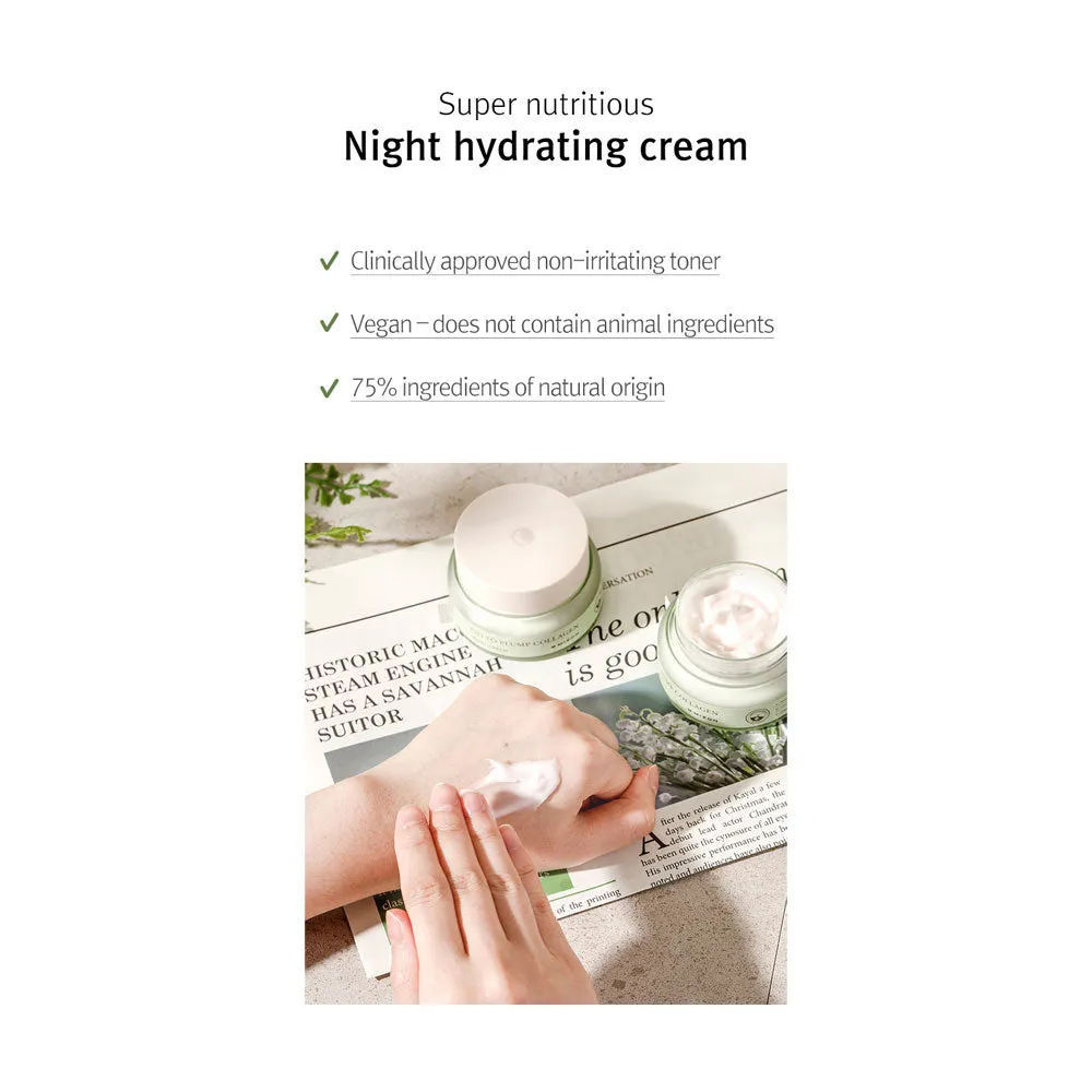 Phyto Plump Collagen Night Cream